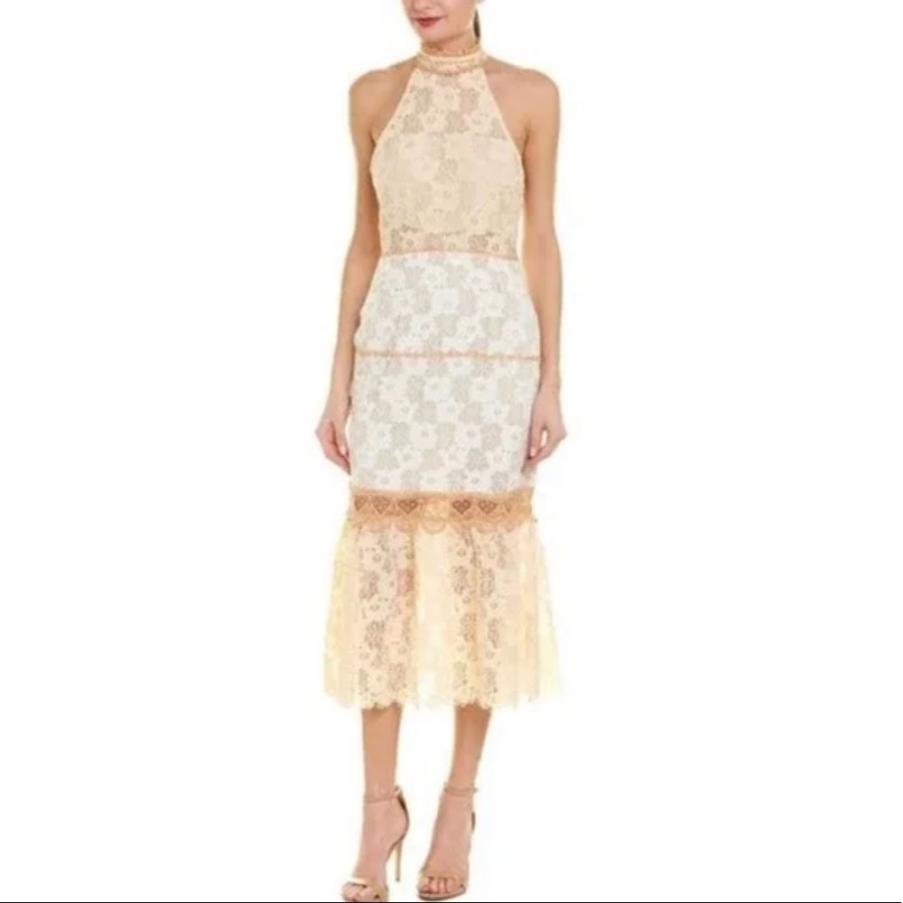foxiedox Cream and White Lace Halter Midi Dress